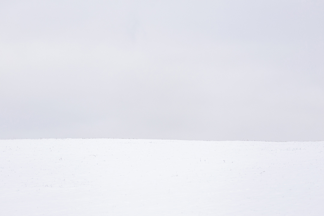 Weiß(es Feld) vor grau ...