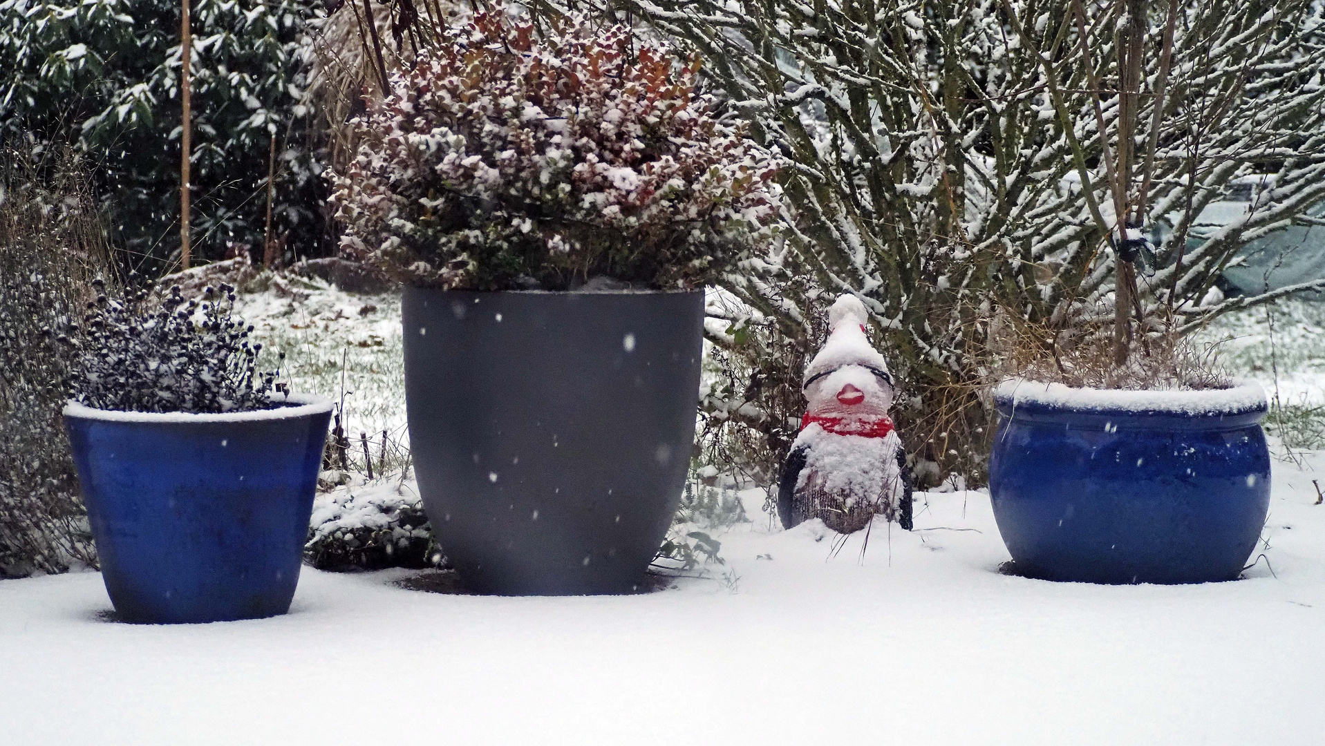 Weisses flockt aus