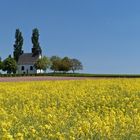 Weißes Kirchlein, versteckt in Blau und Gelb