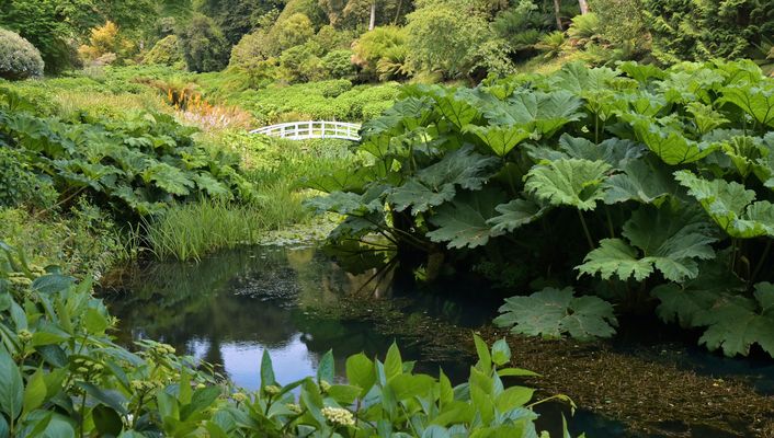 Weisses kleines "Brüggli"