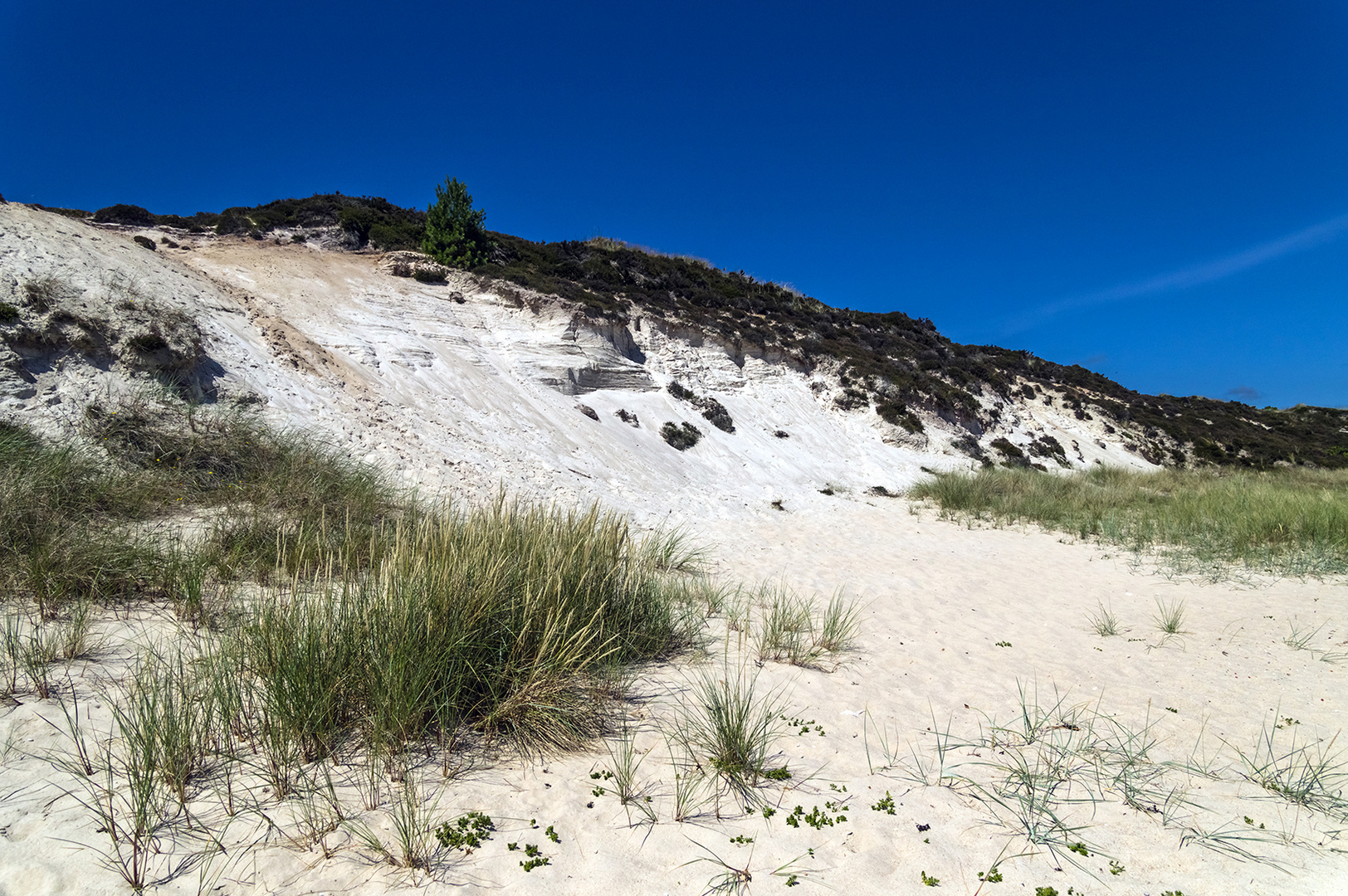 Weißes Kliff Braderuper Heide, Sylt