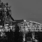 Weißes Krokodil / Landschaftspark Duisburg-Nord