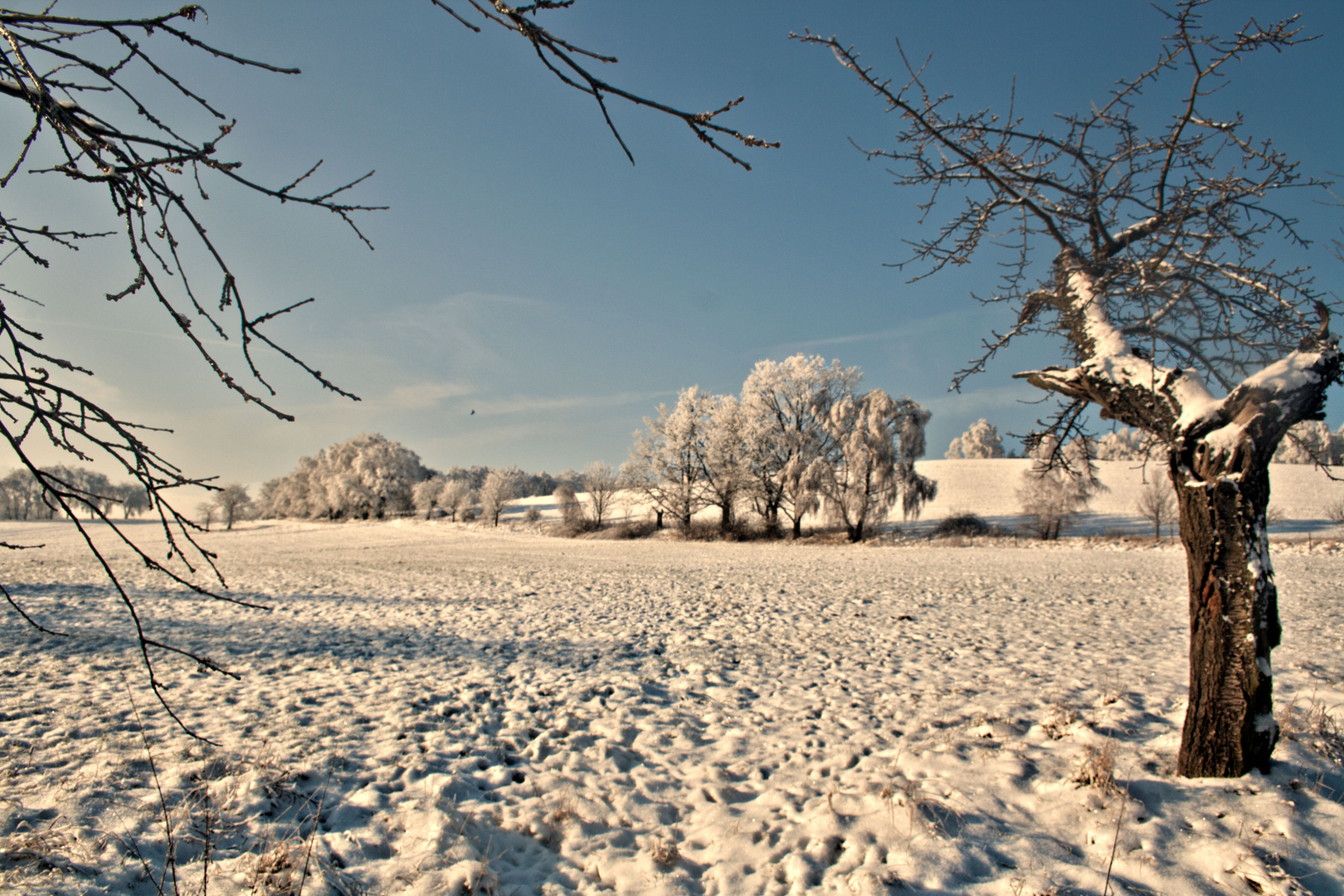 weißes land