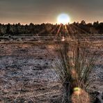 Weisses Moor ... Gegenlicht-HDR