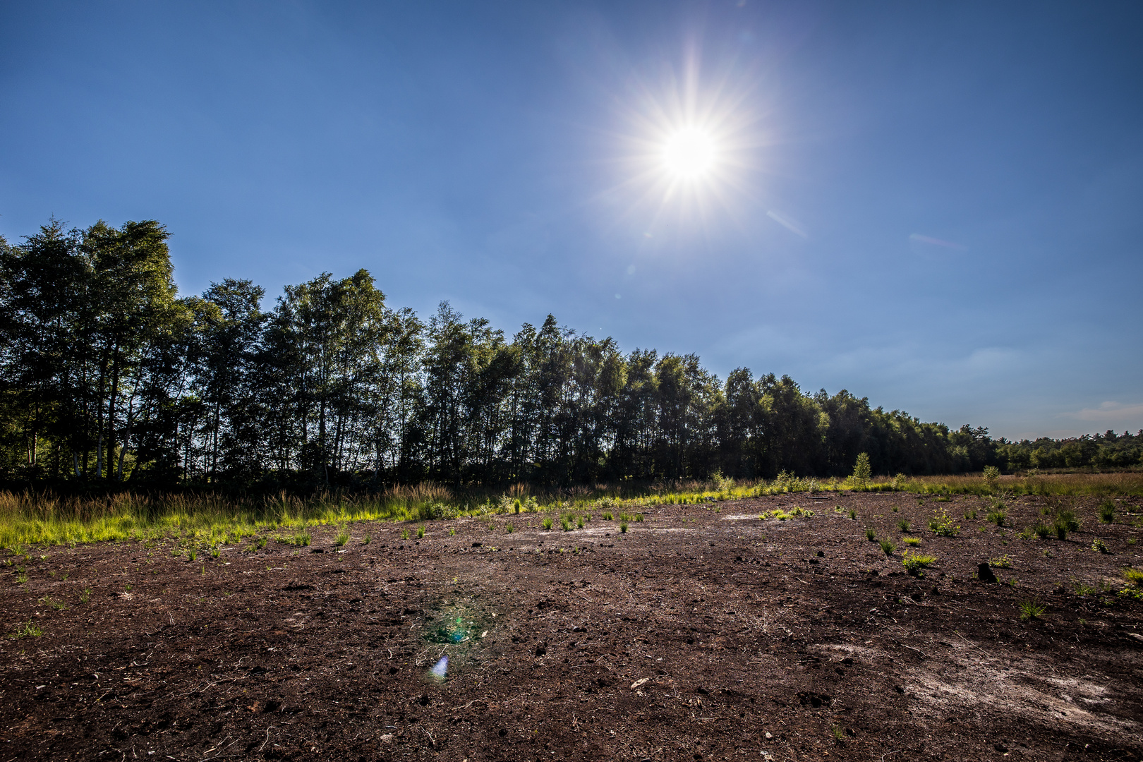 Weisses Moor,  sengende Hitze, 33° 