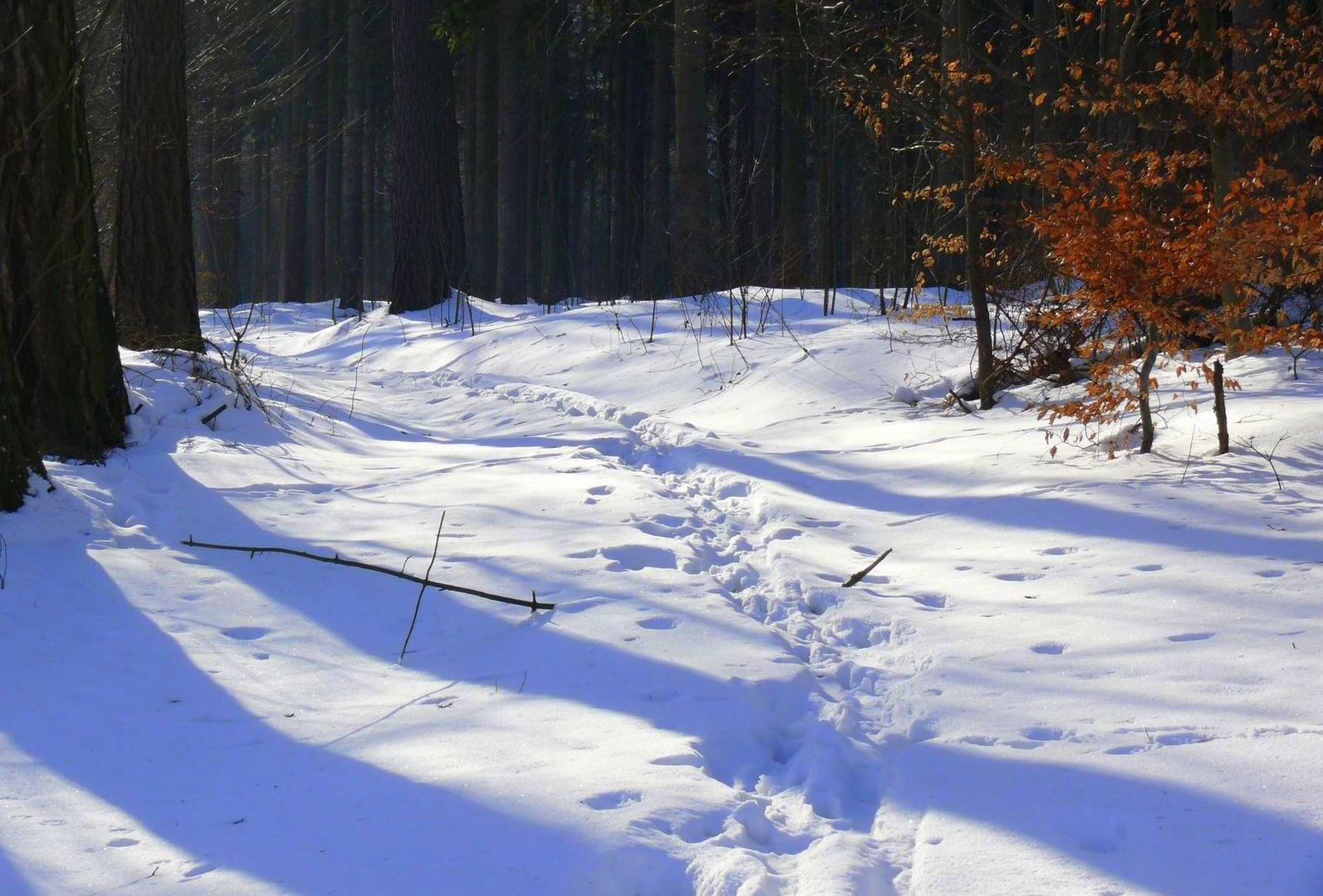 Weißes und blaues Weihnachten