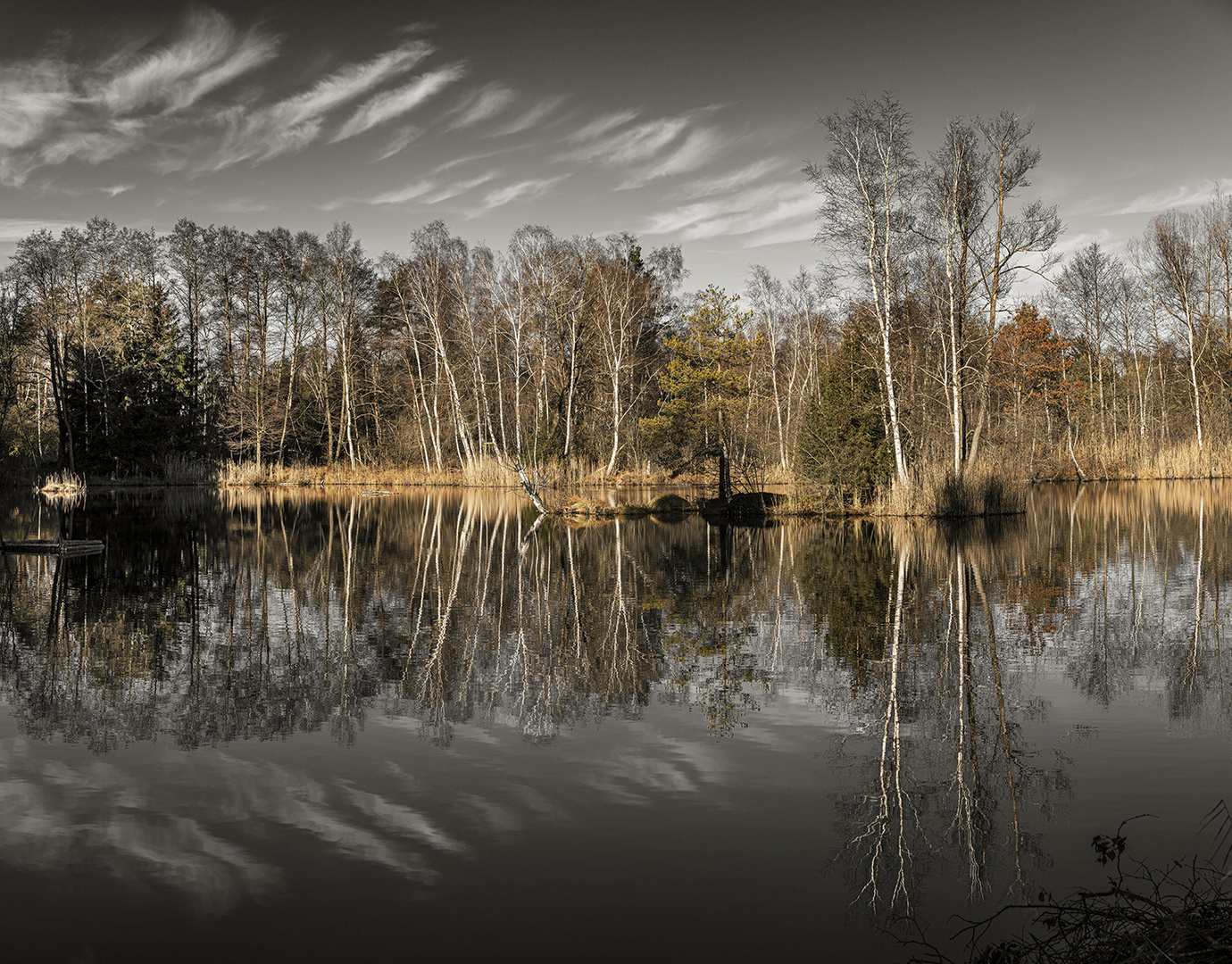 Weißgold im Moorsee