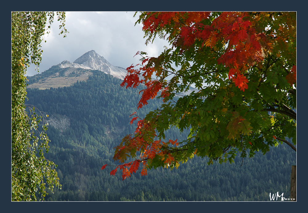 Weisshorn