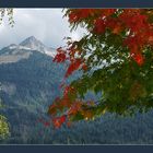 Weisshorn