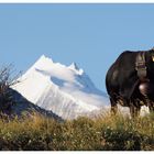 Weisshorn