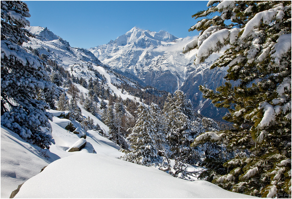 Weisshorn ganz in Weiss