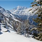 Weisshorn ganz in Weiss