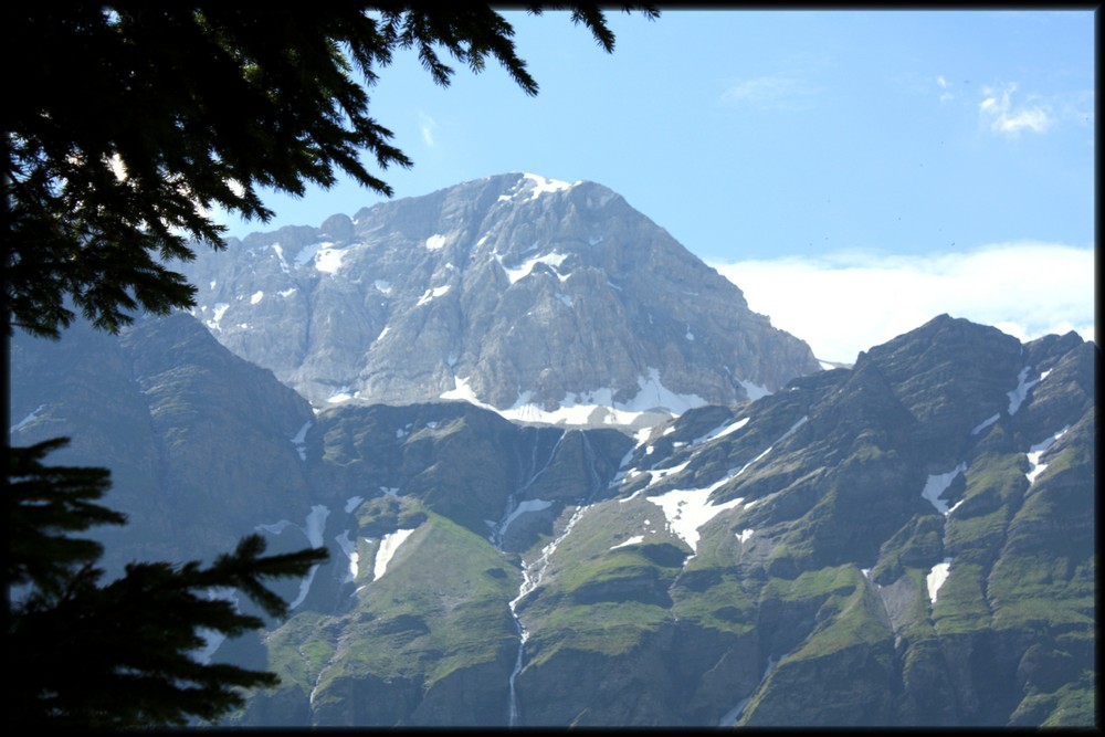 Weisshorn im Safiental/Graubünden