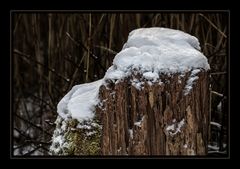 Weisskäppchen