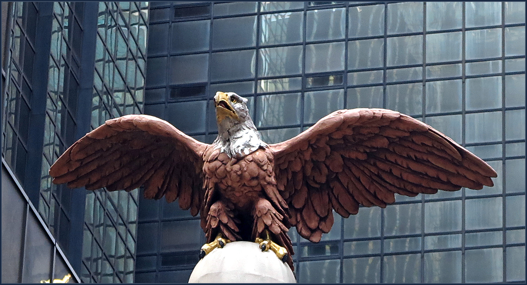 Weißkopfseeadler - Grand Central Station - NYC