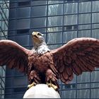 Weißkopfseeadler - Grand Central Station - NYC