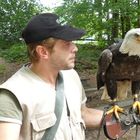 Weißkopfseeadler mit Trainer in der Falknerei Bergisch Land in Remscheid