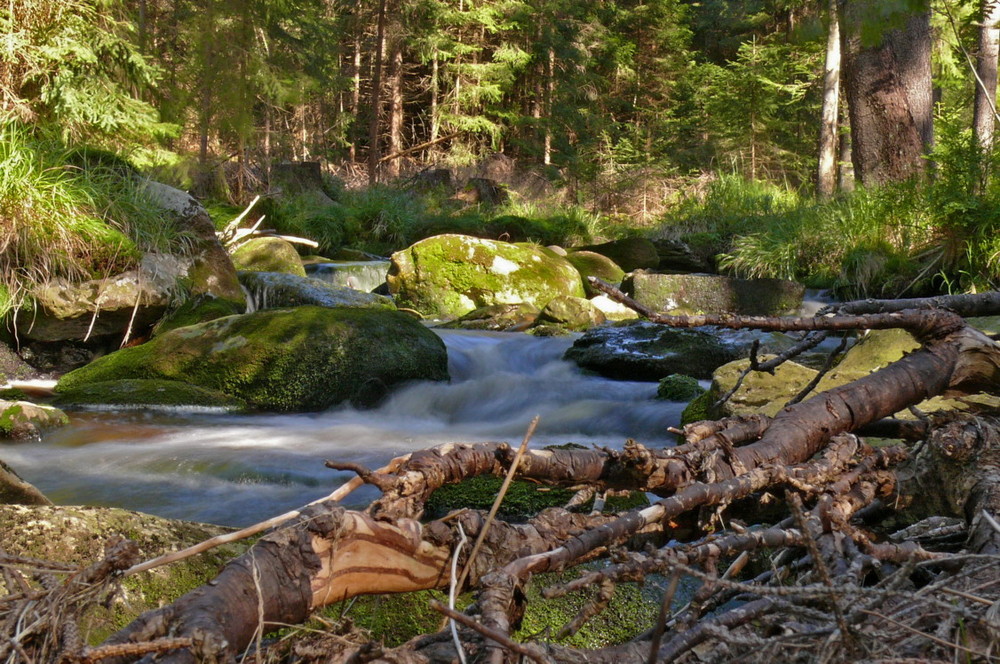 Weißmaintal im Fichtelgebirge