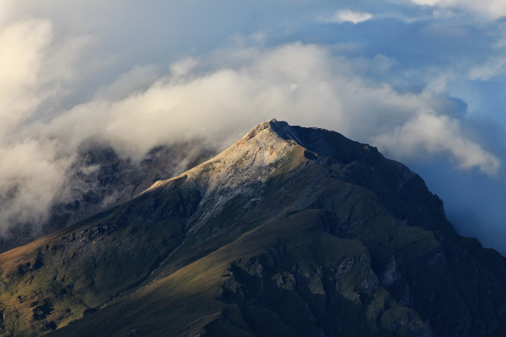 Weisspitz im Abendlicht