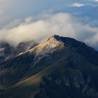 Weisspitz im Abendlicht