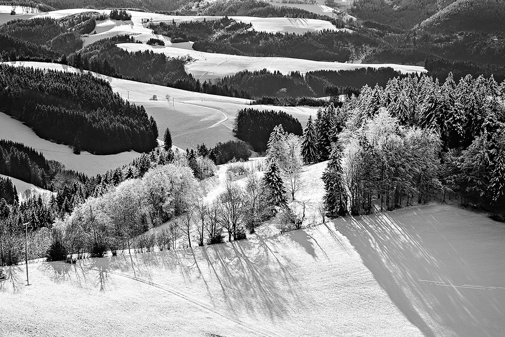 Weiß/Schwarzwald