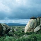 Weißstörche bei einem herannahendem Gewitter in Spanien