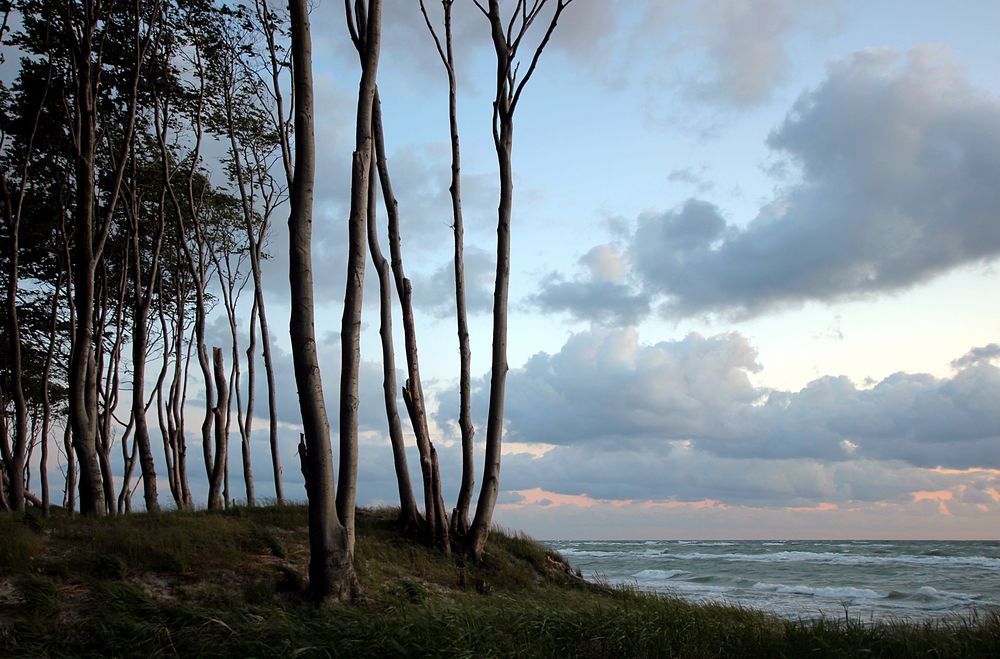 weisst du noch, wie das Meer riecht..?