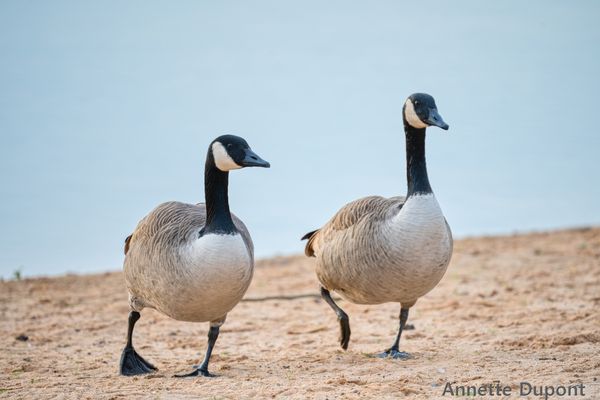 Weißt du schon das Neueste?