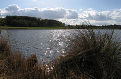 weisst du wieviel Sternlein............ schwimmen ?