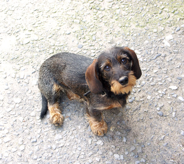 Weisst du, wo meine Mama ist?