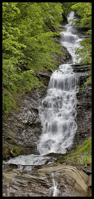 Weisstannental