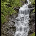 Weisstannental