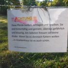 weißte Bescheid!