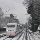 Weißwurst im Schnee