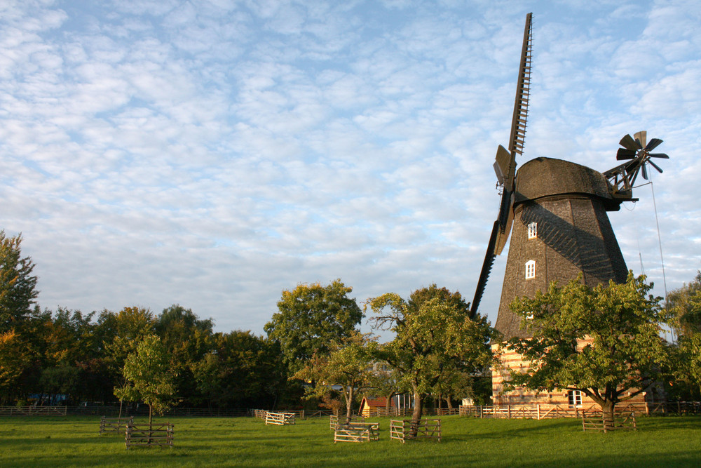 Weit weg von Don Quijote