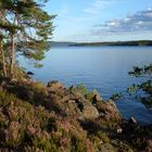 Weit weit draußen- Abendstimmung in Schweden