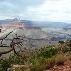 Weit, weiter, Grand Canyon