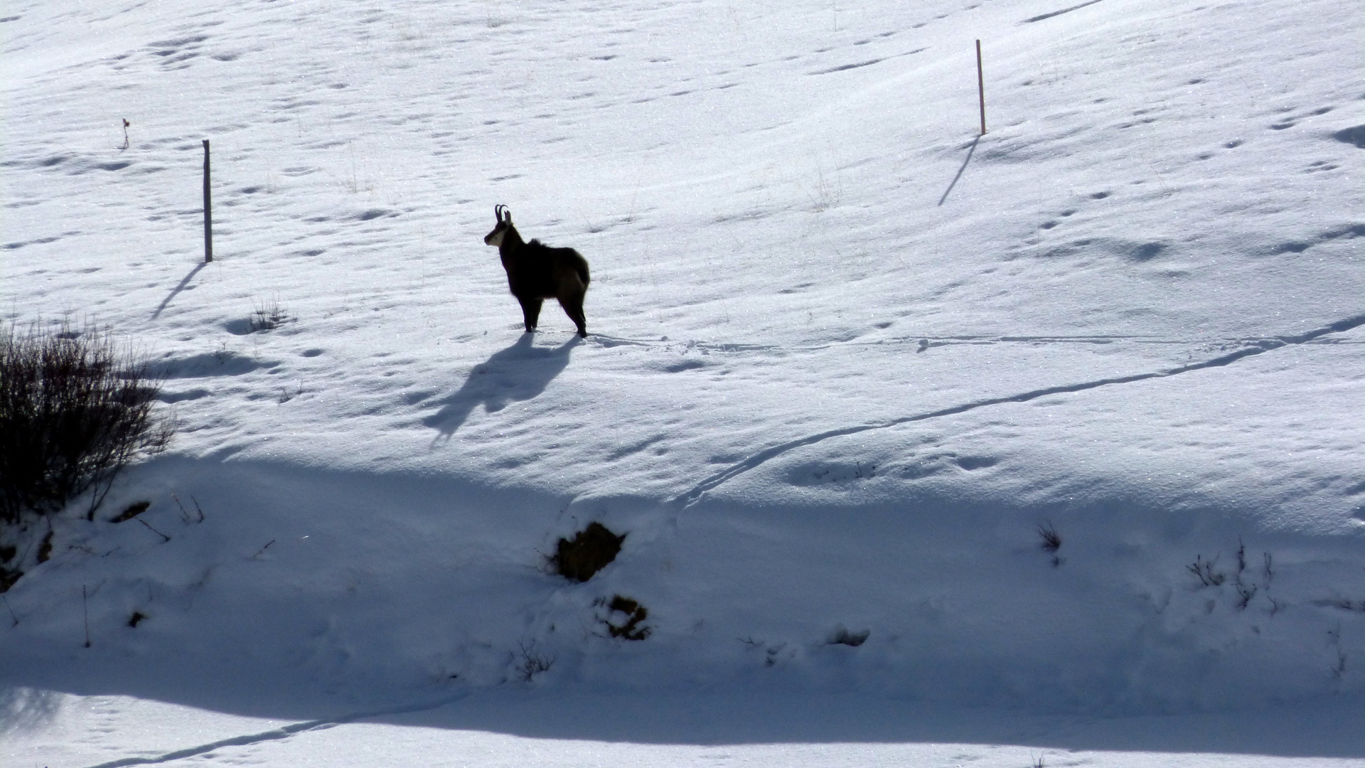 Weitab der Skipisten