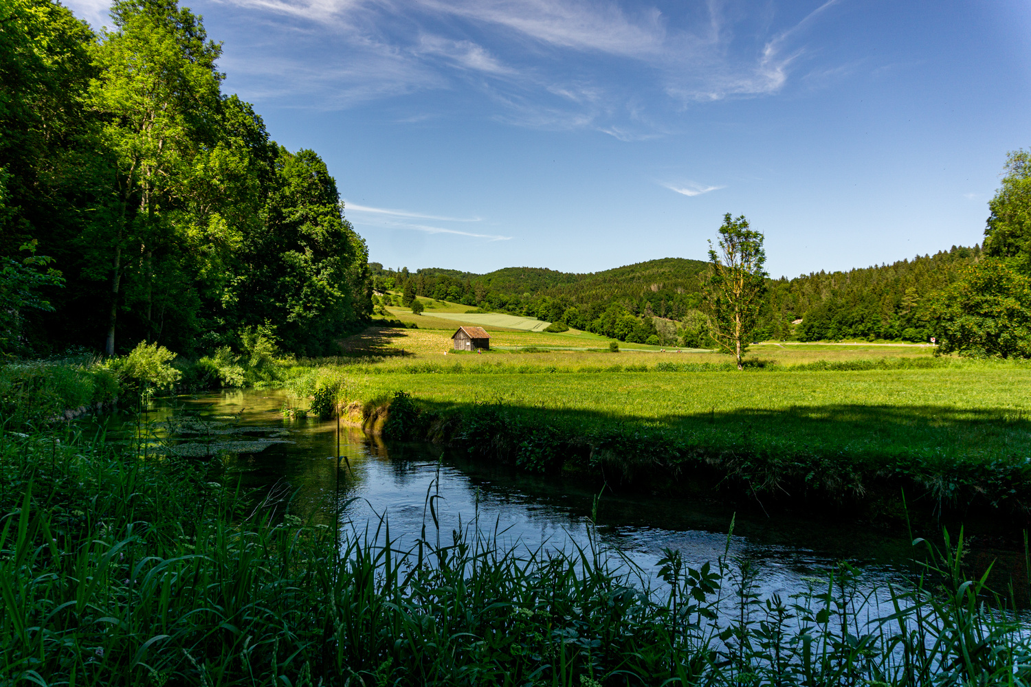 Weitab vom Getümmel