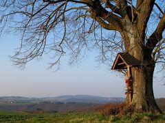 Weitblick