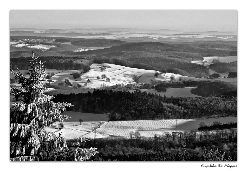 Weitblick