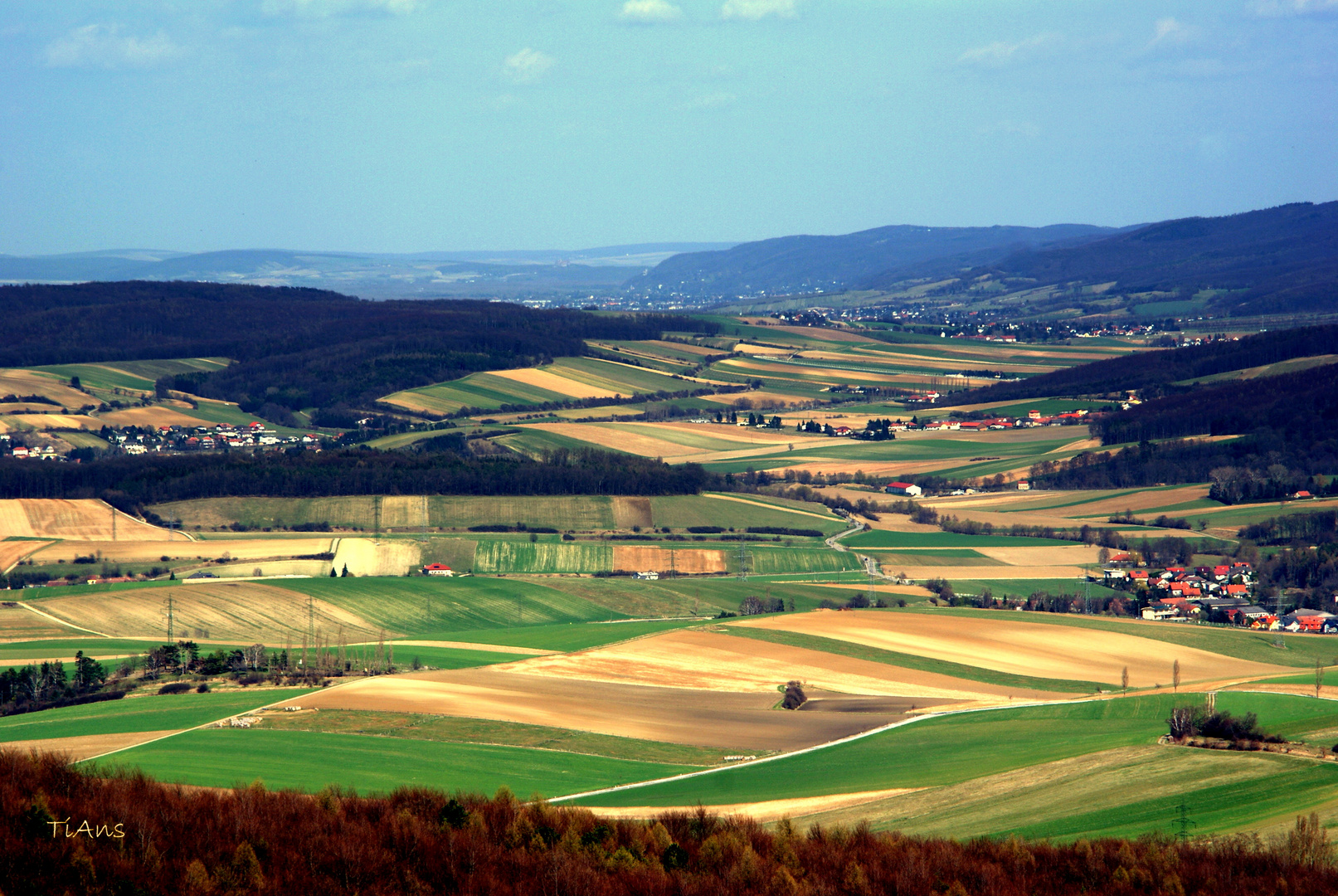 weitblick