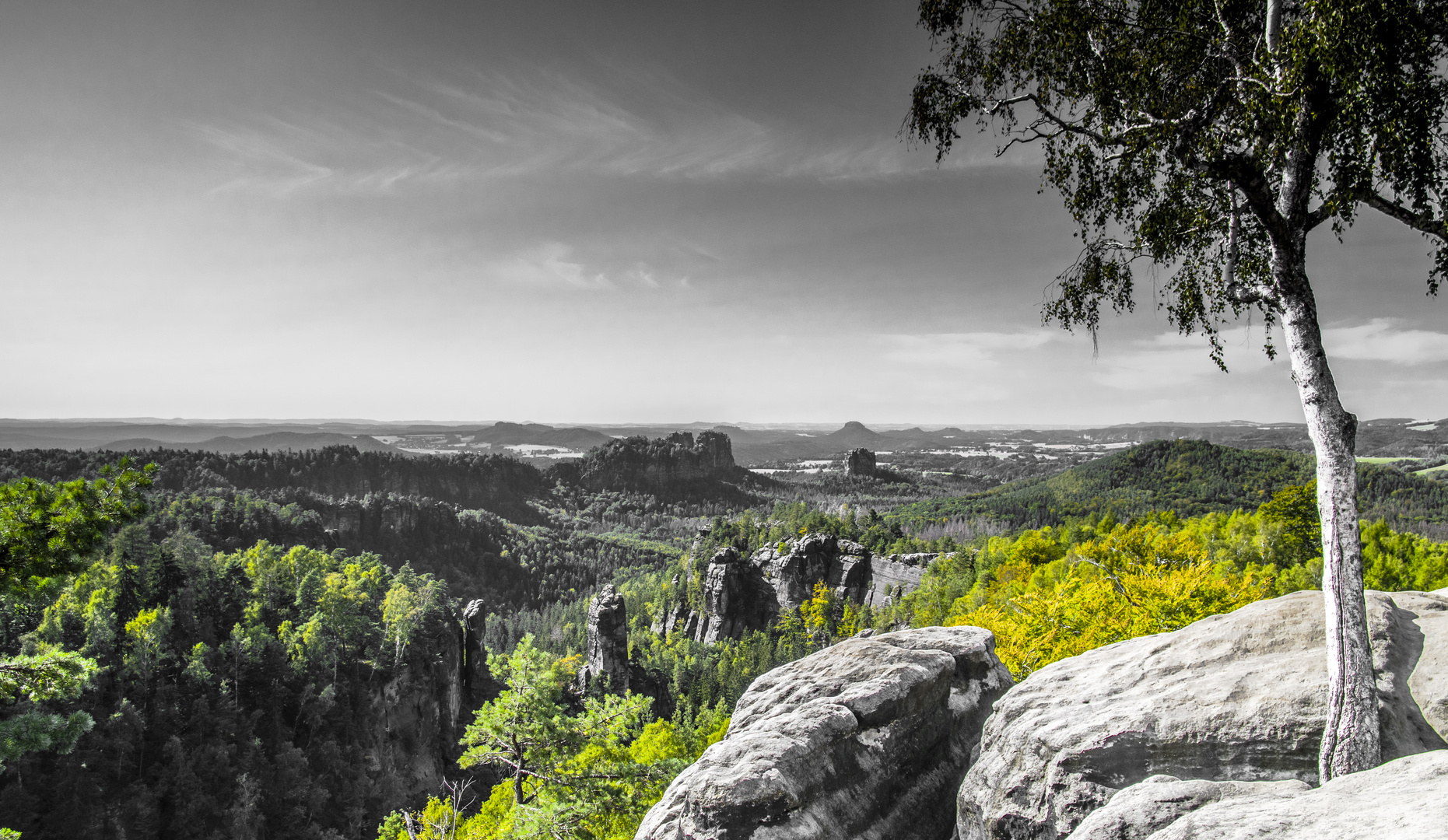 Weitblick