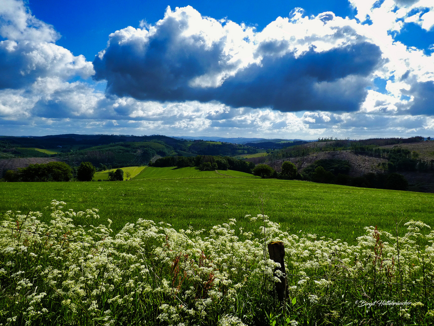 Weitblick