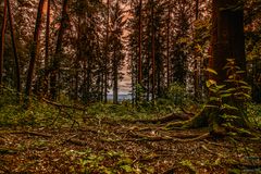 Weitblick 