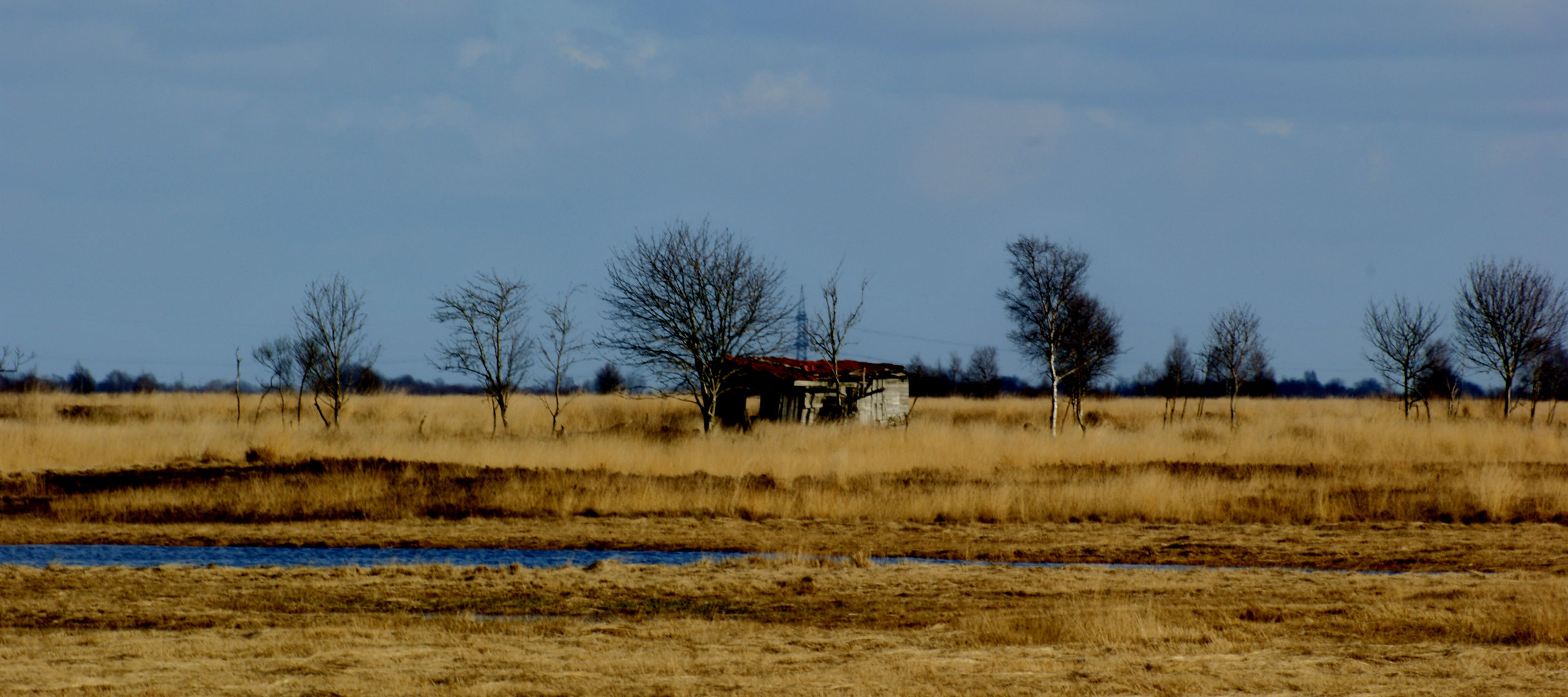 Weitblick