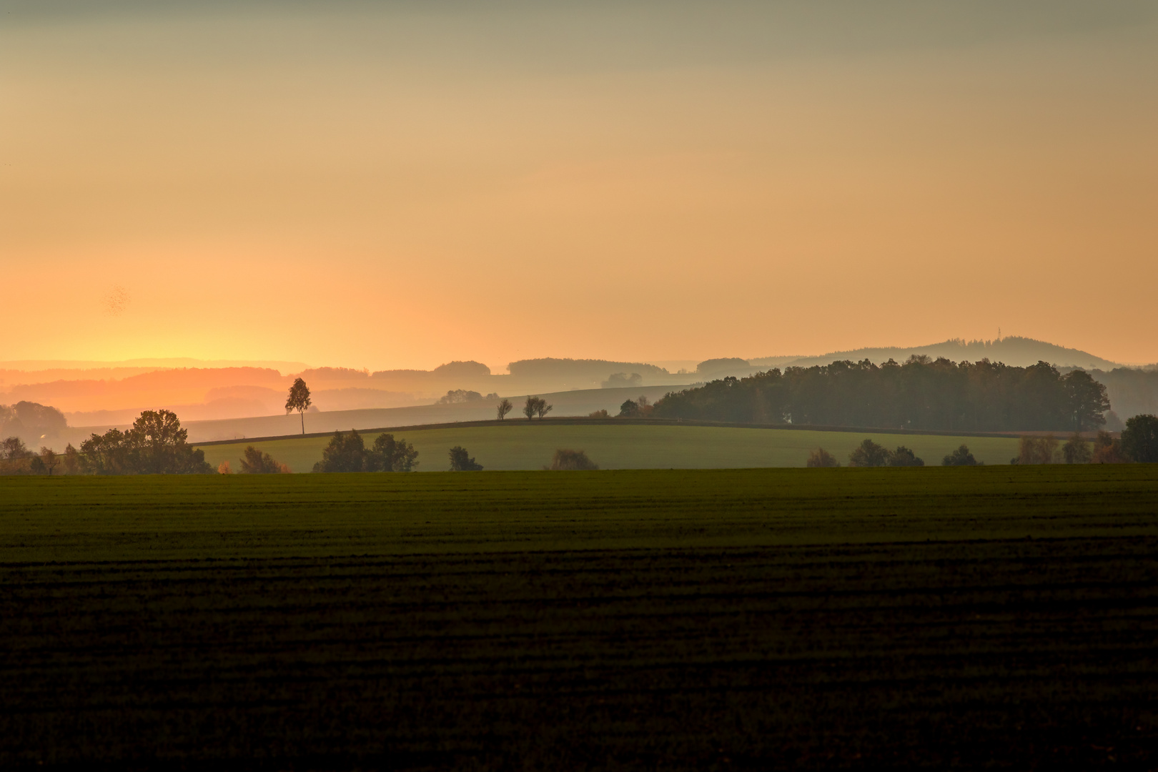 Weitblick