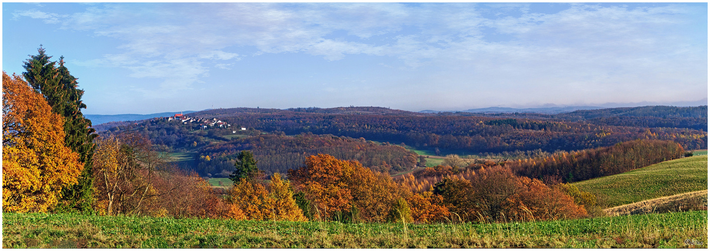 Weitblick