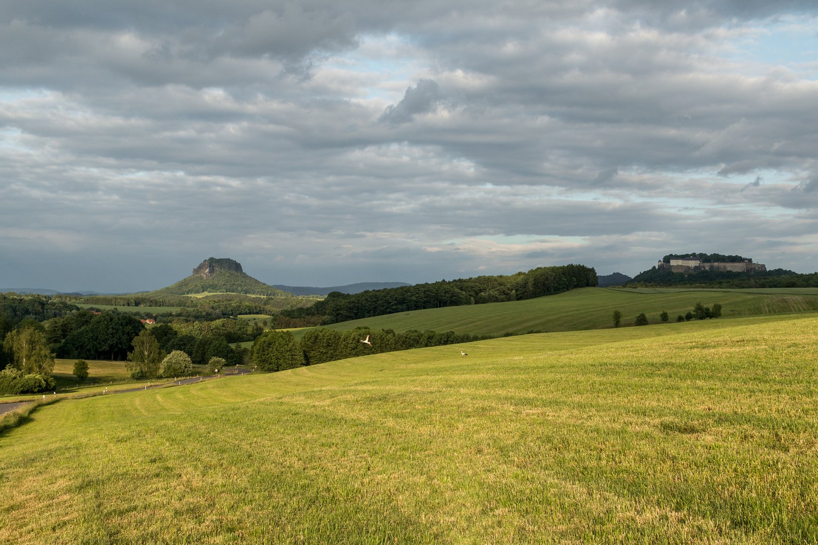 Weitblick