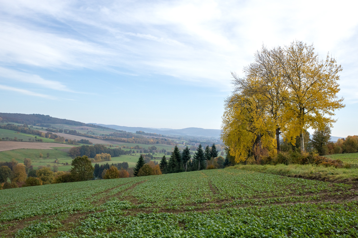 Weitblick